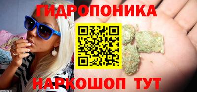 шишки Кинель
