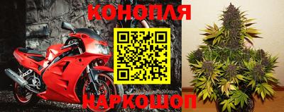 шишки Кинель