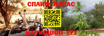мет Кингисепп
