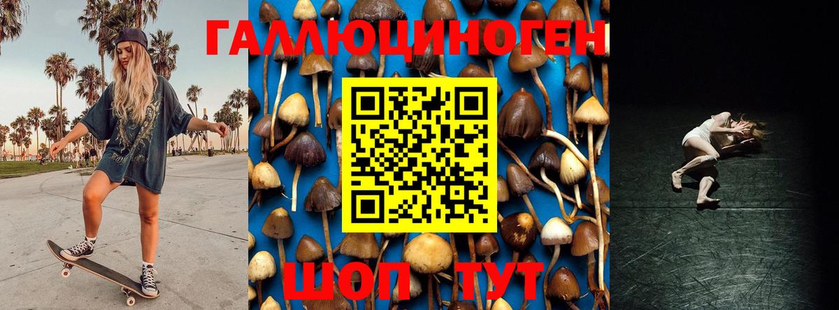 Крымск  Псилоцибиновые грибы прущие грибы  Псилоцибиновые грибы ЛСД  Вход с VPN 